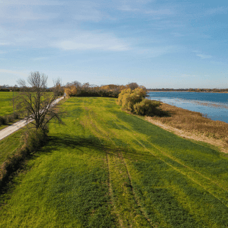 Aerial shot of a field.