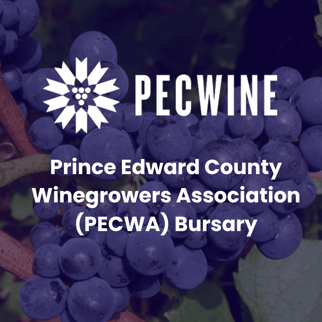 Announcing PECWA Bursary