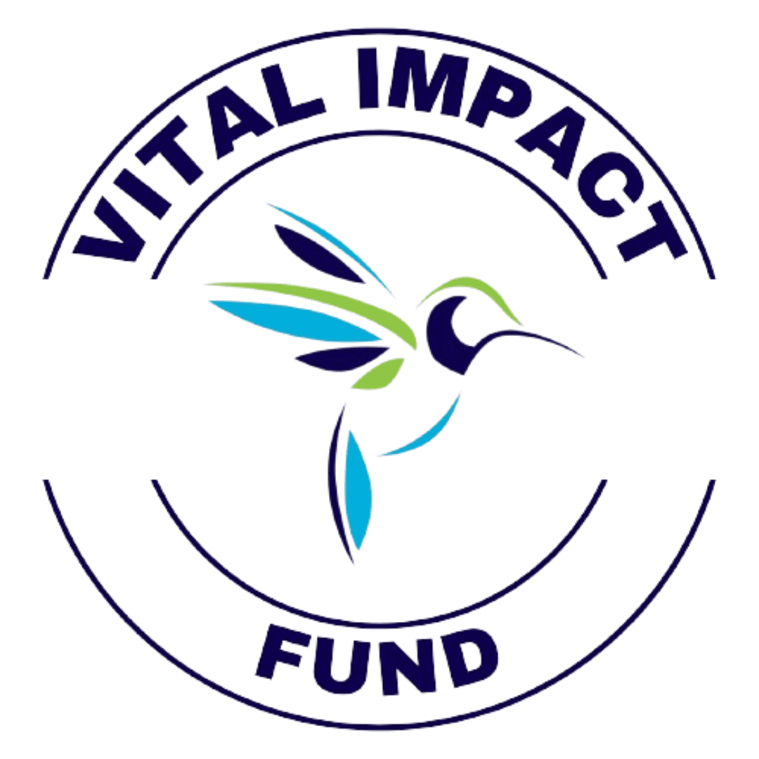 Vital Impact Fund 2025 - Updates